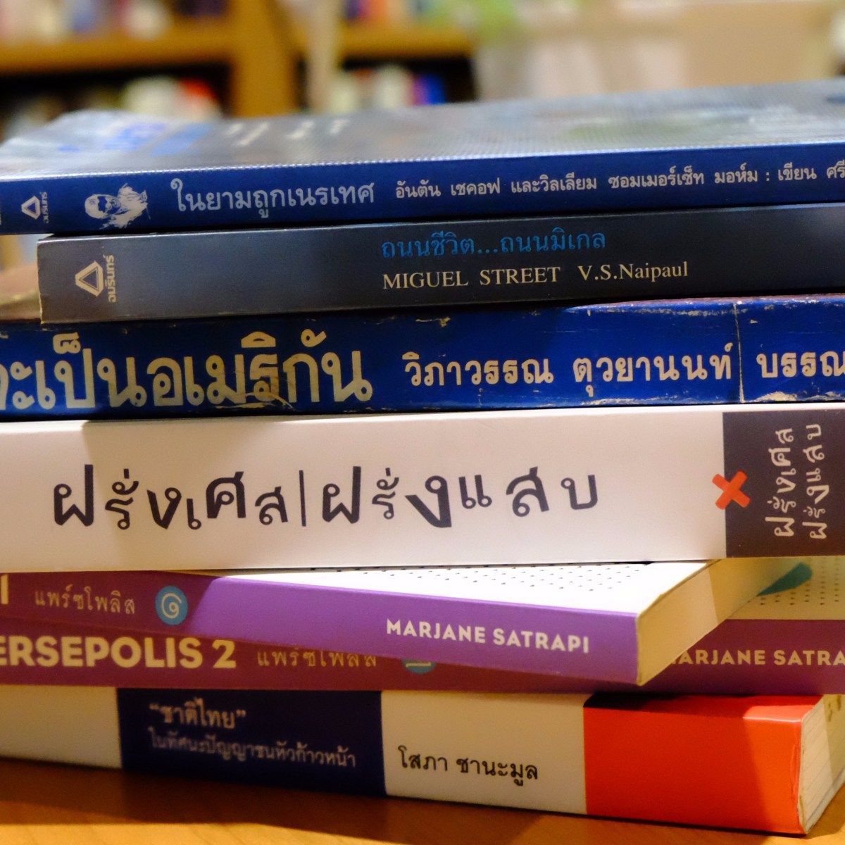 6 หนังสือแห่งการวิพากษ์ประเทศตัวเอง