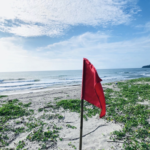 ธงชาติมีไว้ทำไม