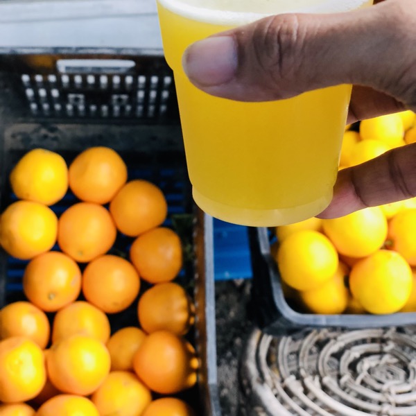 วิทยาศาสตร์ในแก้วน้ำส้มคั้น