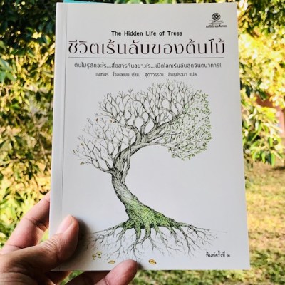 ชีวิตเร้นลับของต้นไม้ : แล้วคุณจะไม่มีวันมองต้นไม้เหมือนเดิมอีก