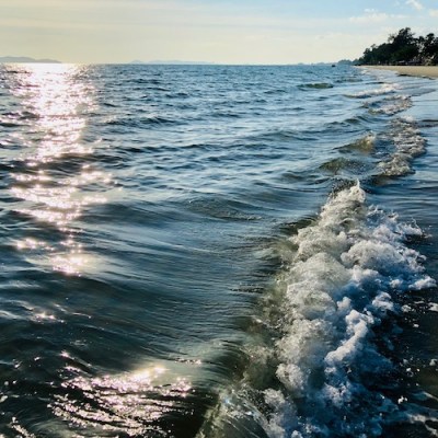 นิยามหนึ่งของปัญญา