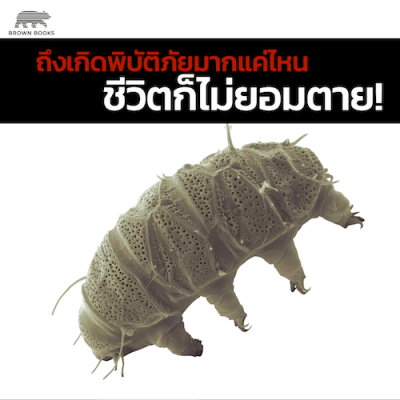 ถึงเกิดภัยพิบัติขนาดไหน ชีวิตก็ไม่ยอมตาย!